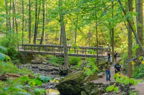 Staybridge Suites Hamilton - Downtown image 1