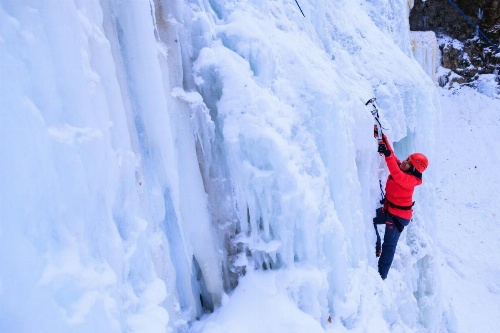 Staybridge Suites Hamilton - Downtown image 22